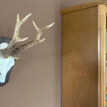 Himmel Un Aeaed - Brohltal Rhein Ahr Eifel Laacher - Ruhige Lage Appartement *