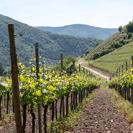 Himmel Un Aeaed - Brohltal Rhein Ahr Eifel Laacher - Ruhige Lage *