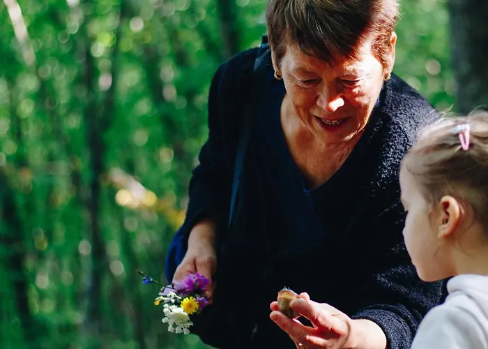 Himmel Un Aeaed - Brohltal Rhein Ahr Eifel Laacher - Ruhige Lage * Burgbrohl