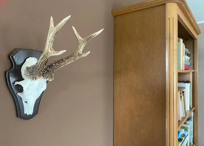 Himmel Un Aeaed - Brohltal Rhein Ahr Eifel Laacher - Ruhige Lage דירה *