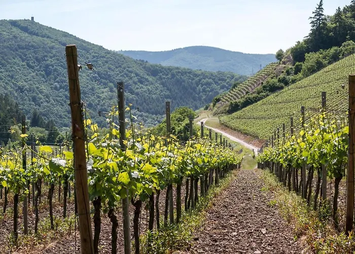 Himmel Un Aeaed - Brohltal Rhein Ahr Eifel Laacher - Ruhige Lage *